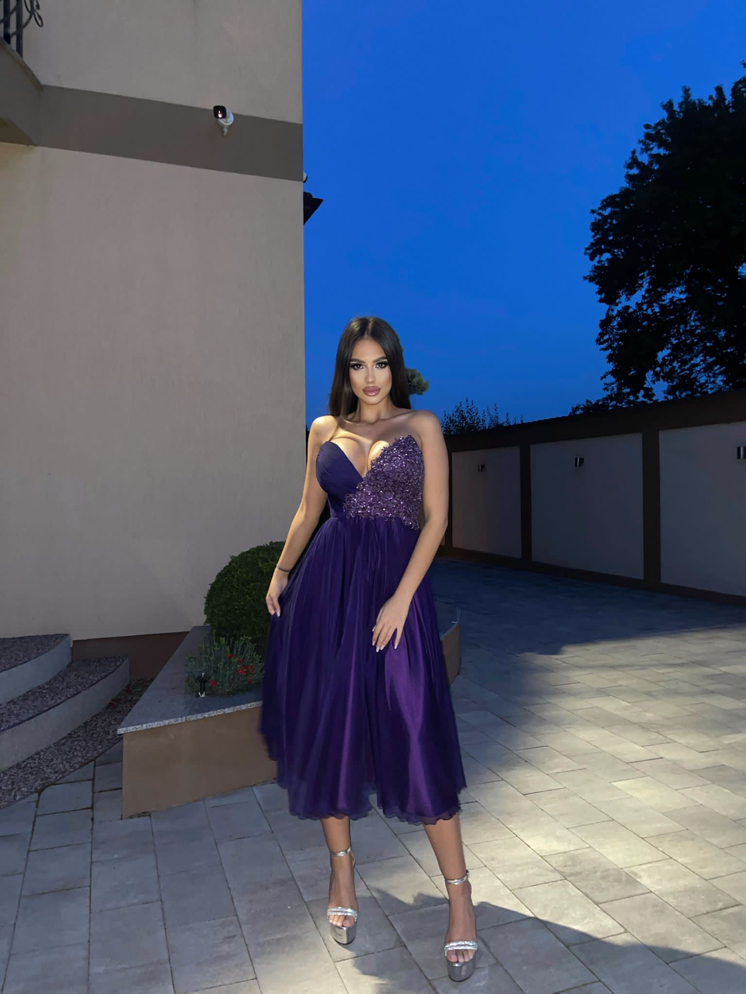 Purple Dress Dar